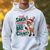 Dear Santa, I Was Good at Being Bad—Does That Count? Christmas Hoodie